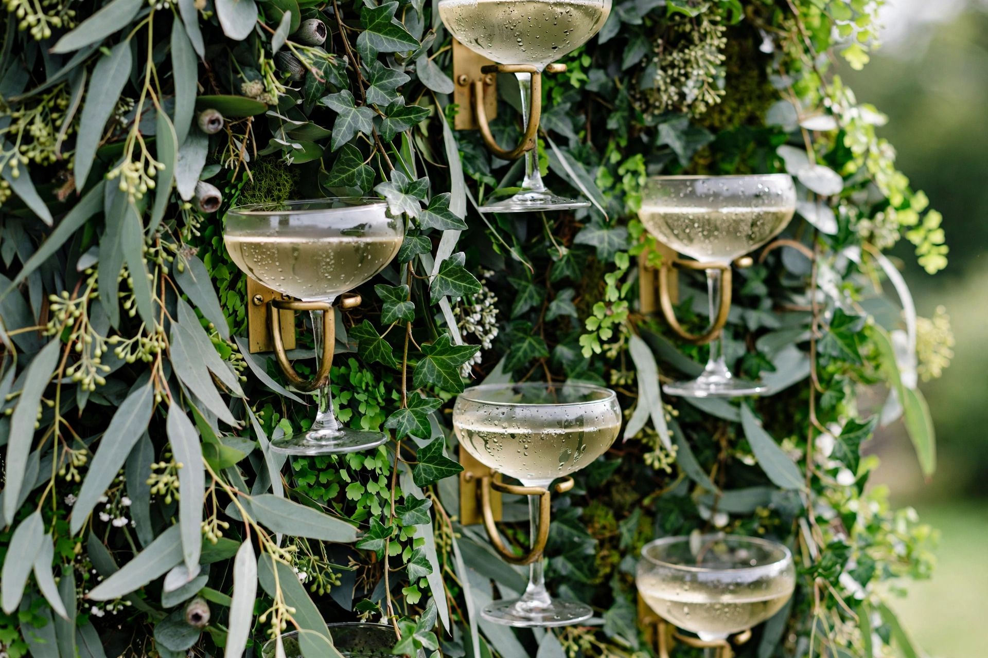 Champagne glasses on a lush greenery wall at a wedding