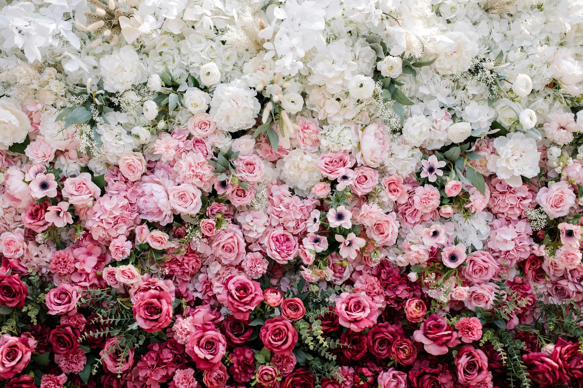 Ombre wedding flower wall fading from deep pink roses to white petals in soft daylight
