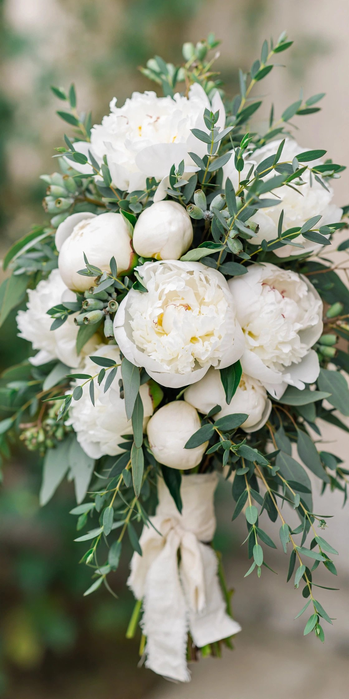 White peony bridal bouquet with fresh eucalyptus greenery