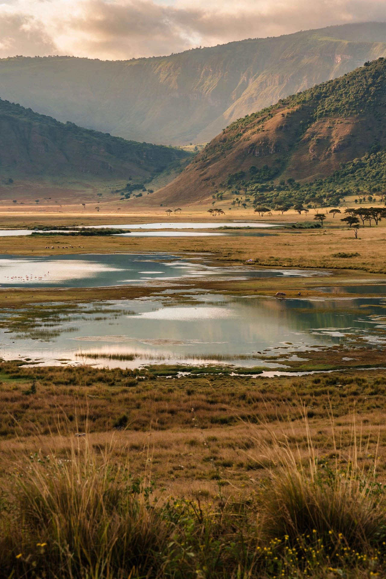 Ngorongoro Crater floor with lakes, grassland and distant crater walls in Tanzania